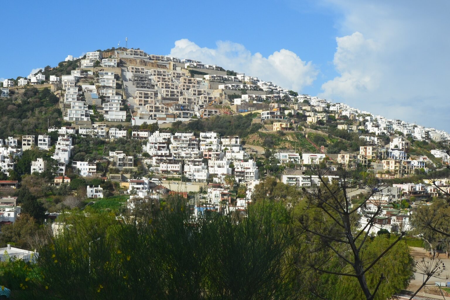 Yeşil bir yamaca yayılmış beyaz badanalı villalar ve apartmanlar